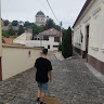 András Zsédely avatárja