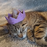 Nóra Dobos avatárja