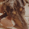 P Laura avatárja